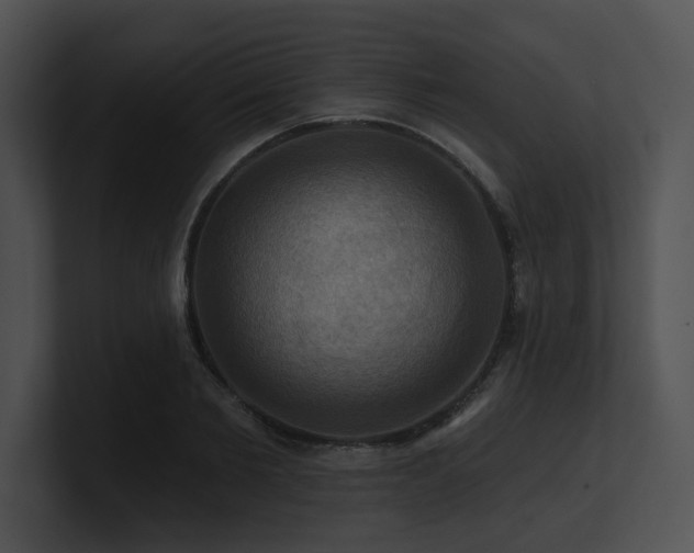 X0000100890885200806241229