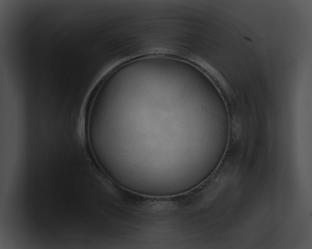 X0000100890886200806241229