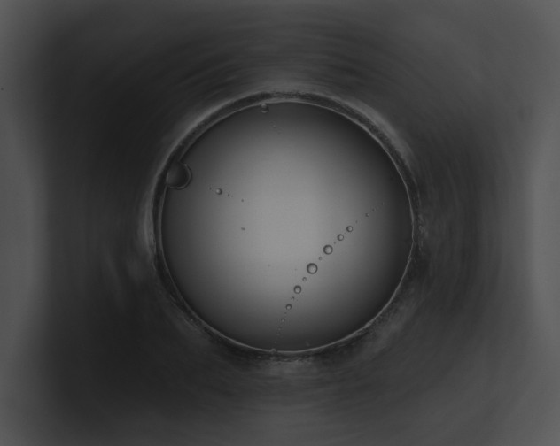 X0000100890887200806241229