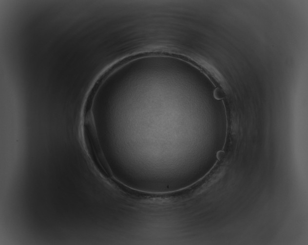 X0000100890888200806241229