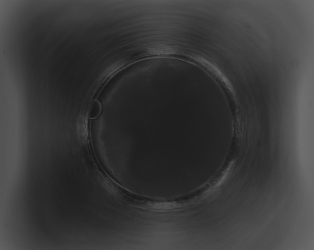 X0000100890889200806241229