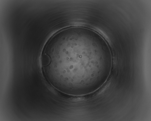 X0000100890891200806241229