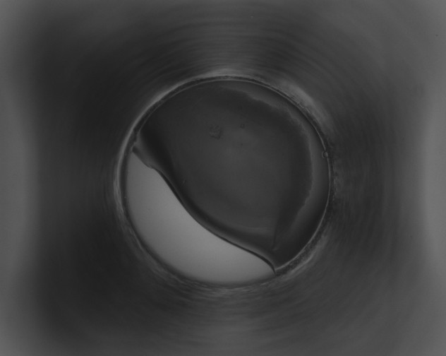 X0000100890892200806241229