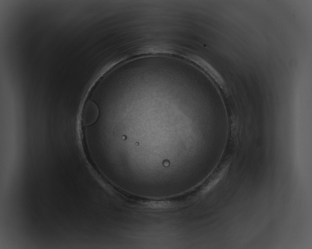 X0000100890893200806241229