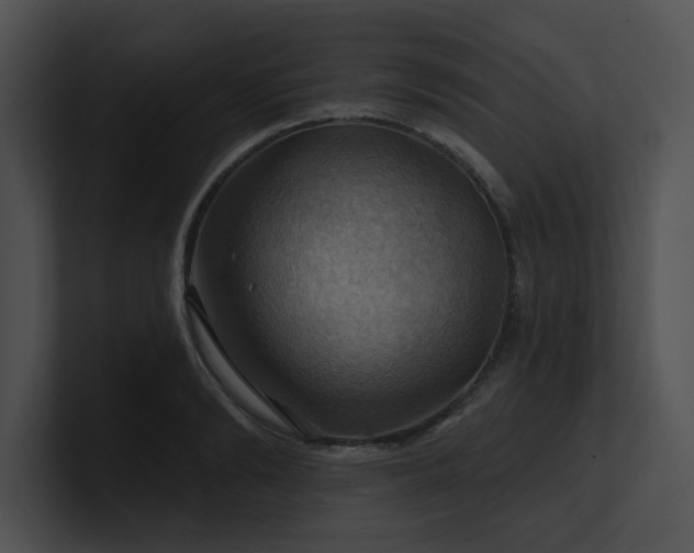 X0000100890894200806241229