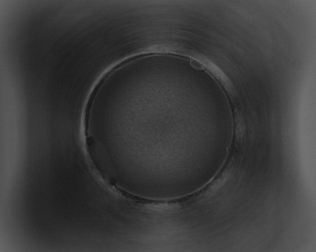 X0000100890896200806241229