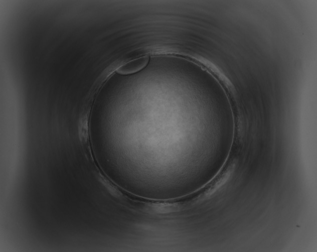 X0000100890897200806241229