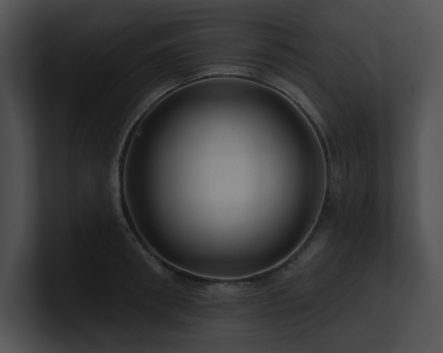 X0000100890898200806241229