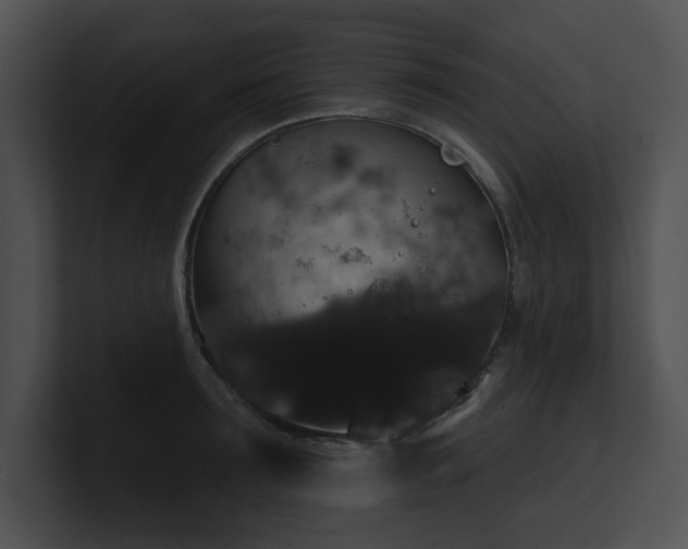 X0000100890899200806241229