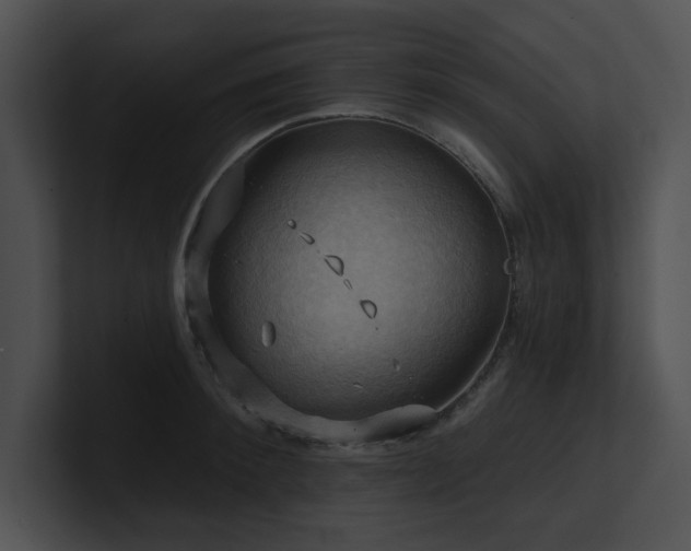 X0000100890900200806241229