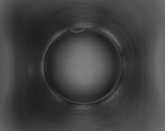X0000100890901200806241229