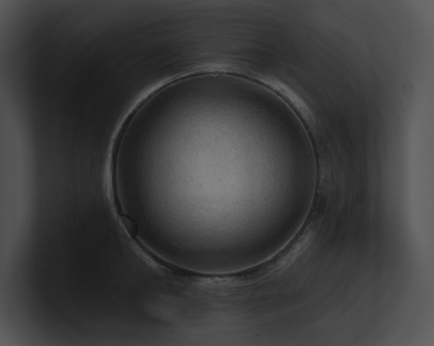 X0000100890902200806241229