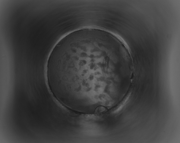 X0000100890903200806241229