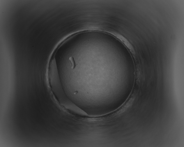 X0000100890904200806241229