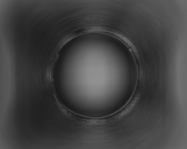 X0000100890905200806241229