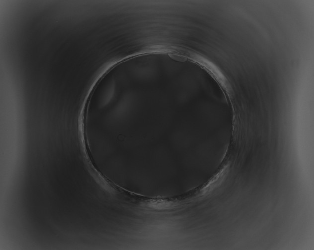 X0000100890907200806241229