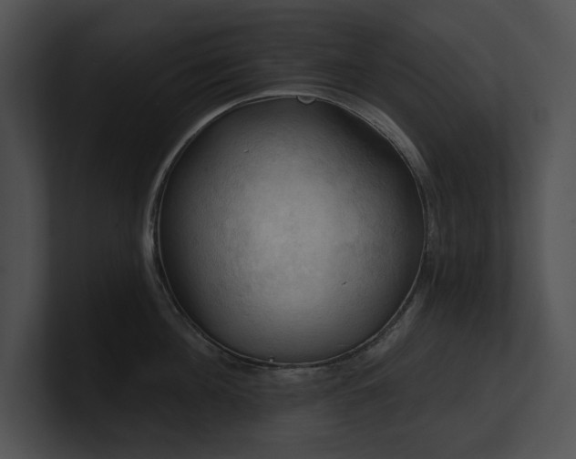 X0000100890908200806241229