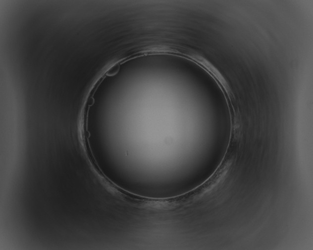 X0000100890909200806241229