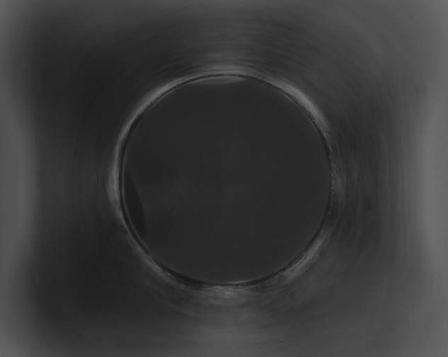 X0000100890910200806241229