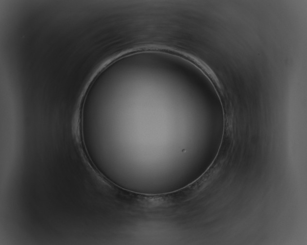 X0000100890911200806241229