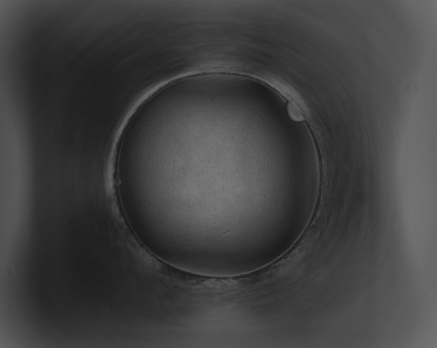 X0000100890912200806241229