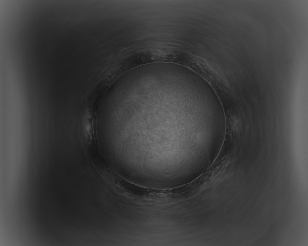 X0000100890914200806241228