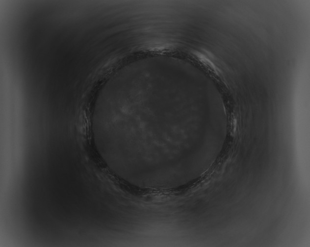 X0000100890917200806241228
