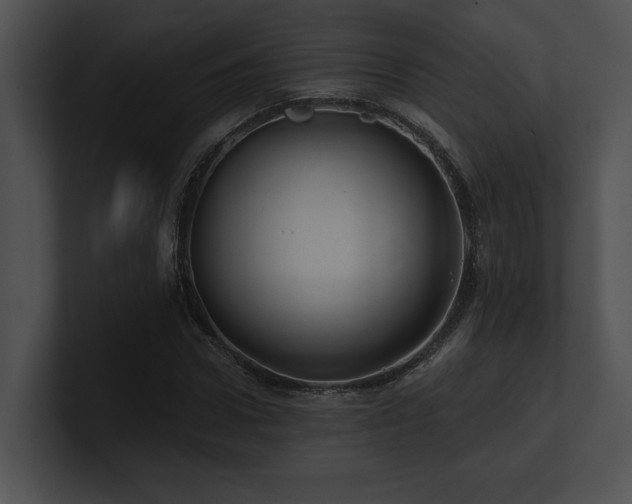 X0000100890922200806241228