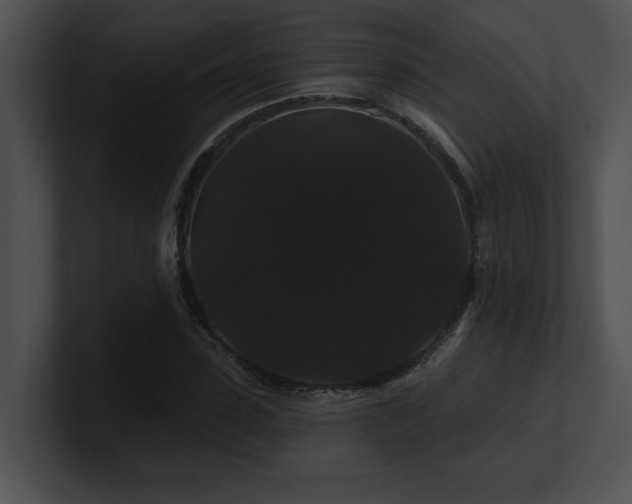 X0000100890923200806241228