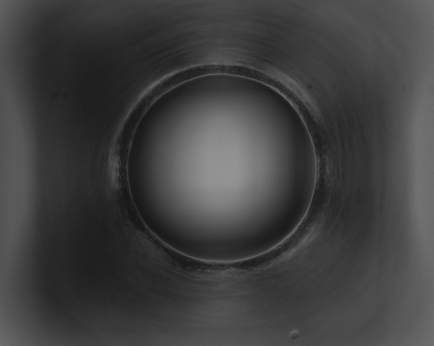 X0000100890926200806241228