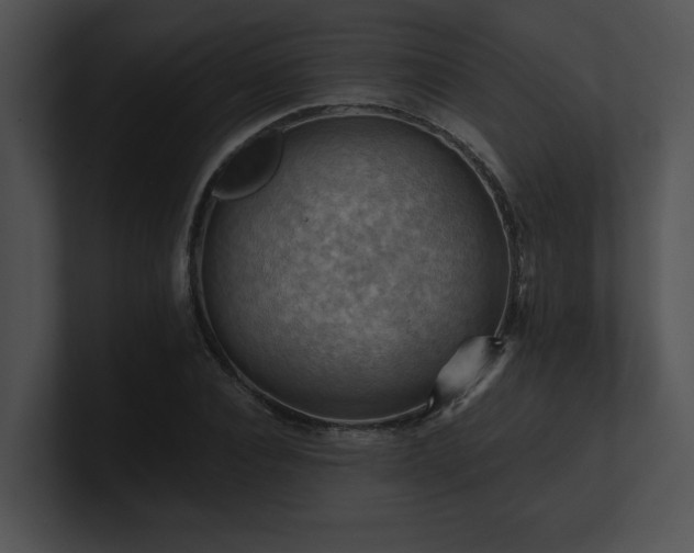X0000100890928200806241228