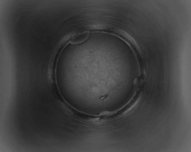 X0000100890930200806241228