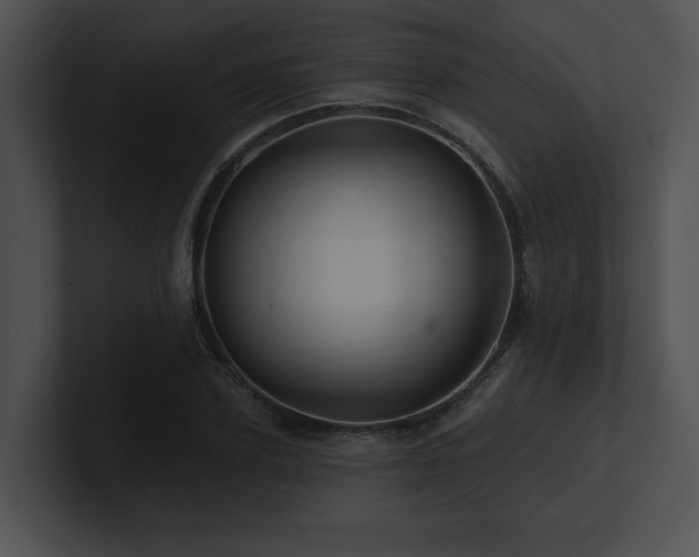 X0000100890931200806241228
