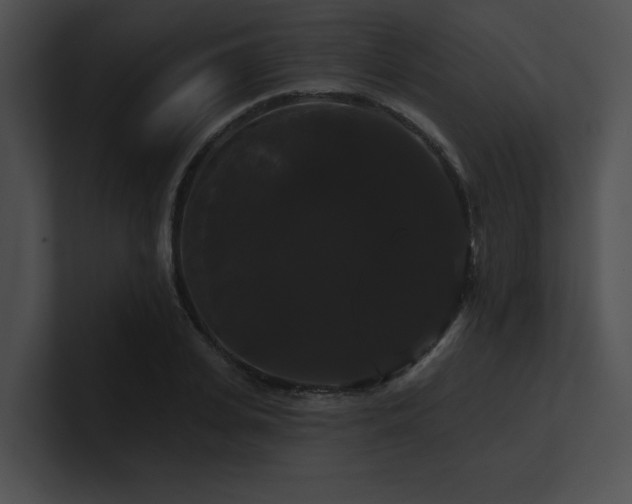 X0000100890935200806241228