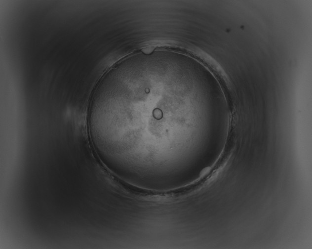 X0000100890937200806241228