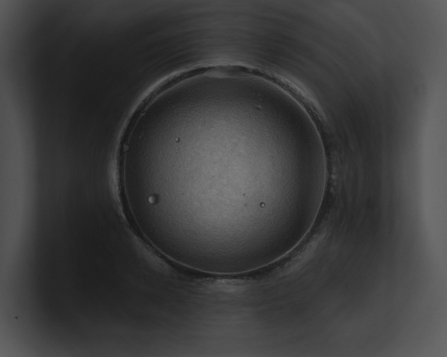 X0000100890942200806241228