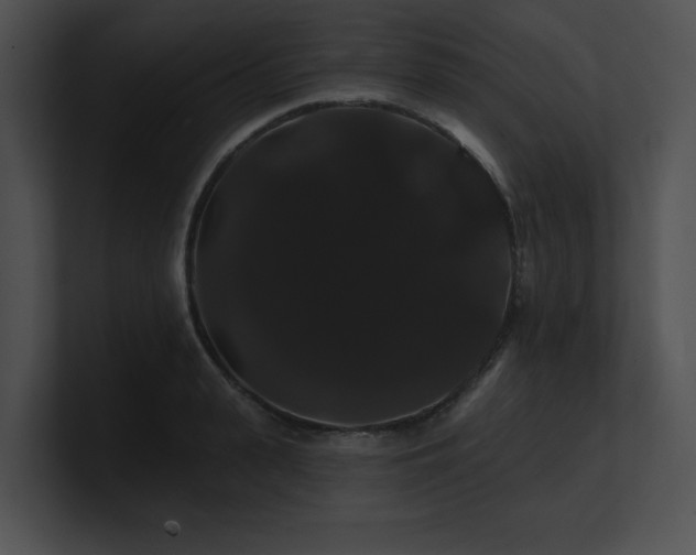X0000100890943200806241228