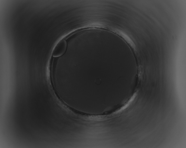X0000100890944200806241228