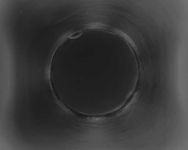 X0000100890946200806241228