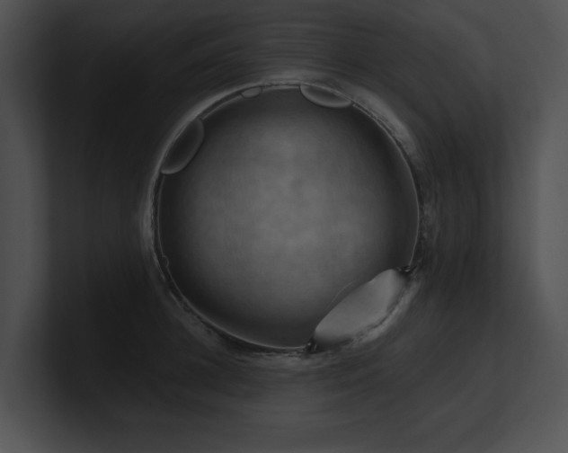 X0000100890948200806241228
