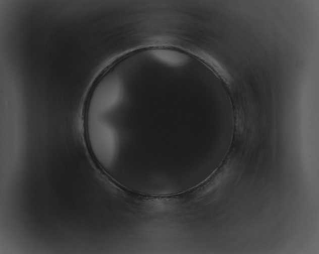 X0000100890950200806241229