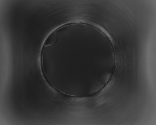 X0000100890951200806241229