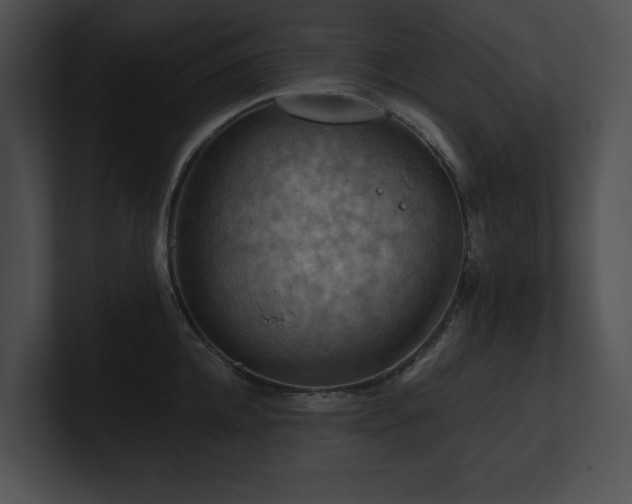 X0000100890952200806241229