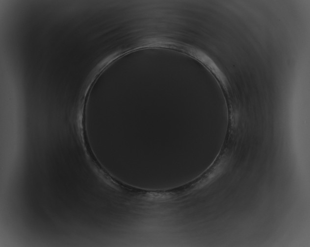X0000100890954200806241229