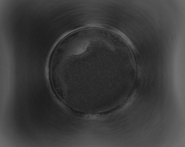 X0000100890955200806241229