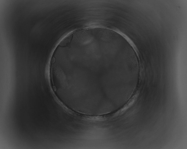 X0000100890957200806241229