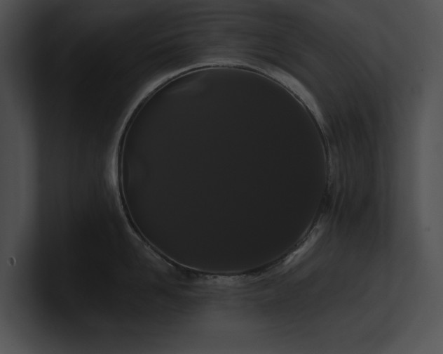 X0000100890958200806241229