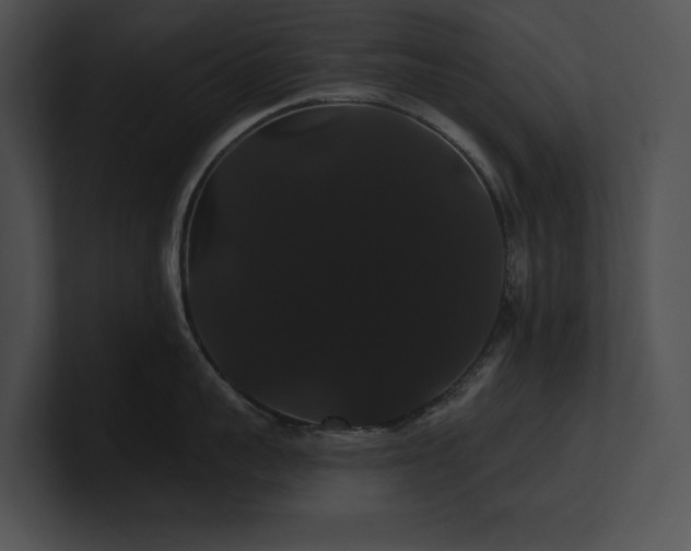X0000100890959200806241229