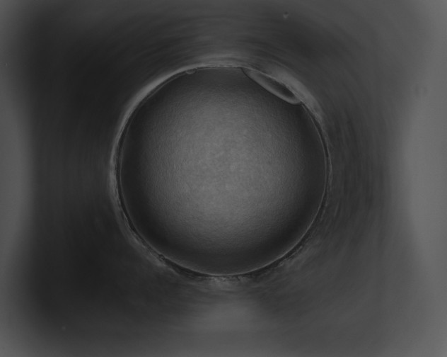 X0000100890960200806241229