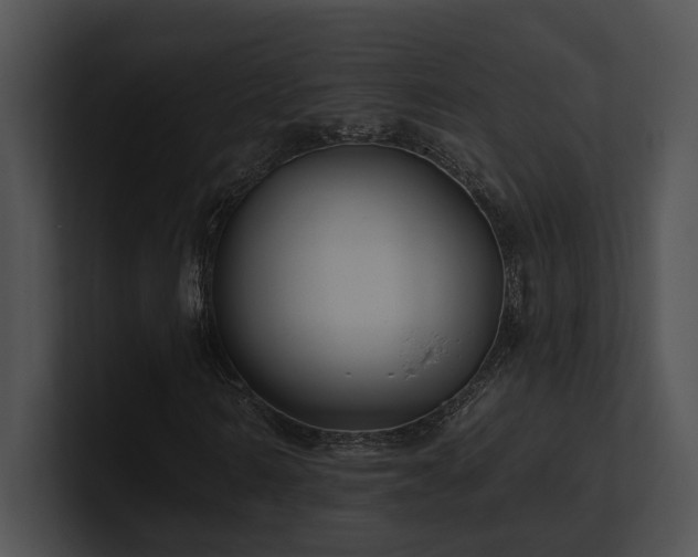 X0000100890962200806241228
